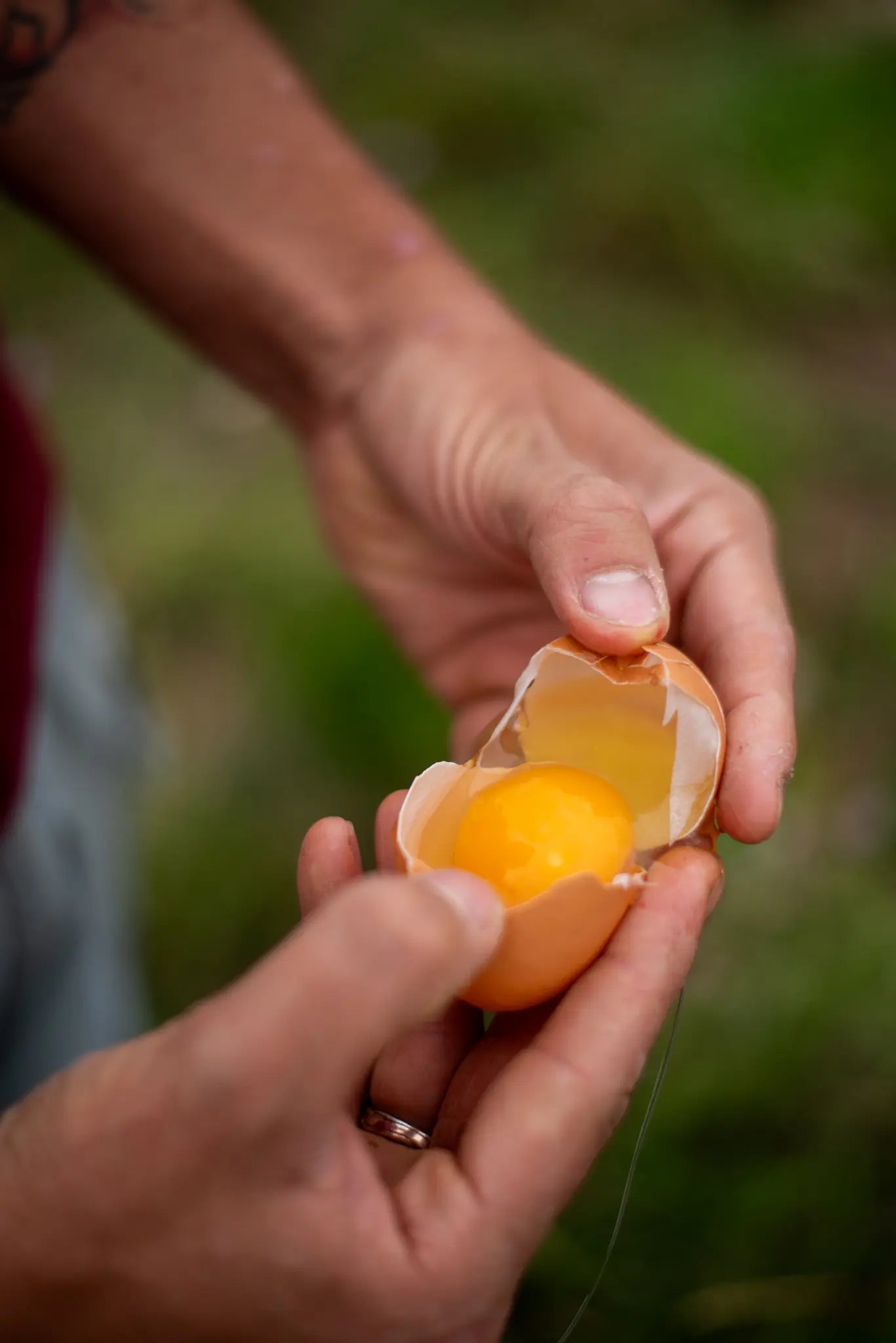 A person holding a cracked brown Honesty 12 Organic Eggs egg in their hands, showing the yolk and some white inside the shell, set against a blurred outdoor background.