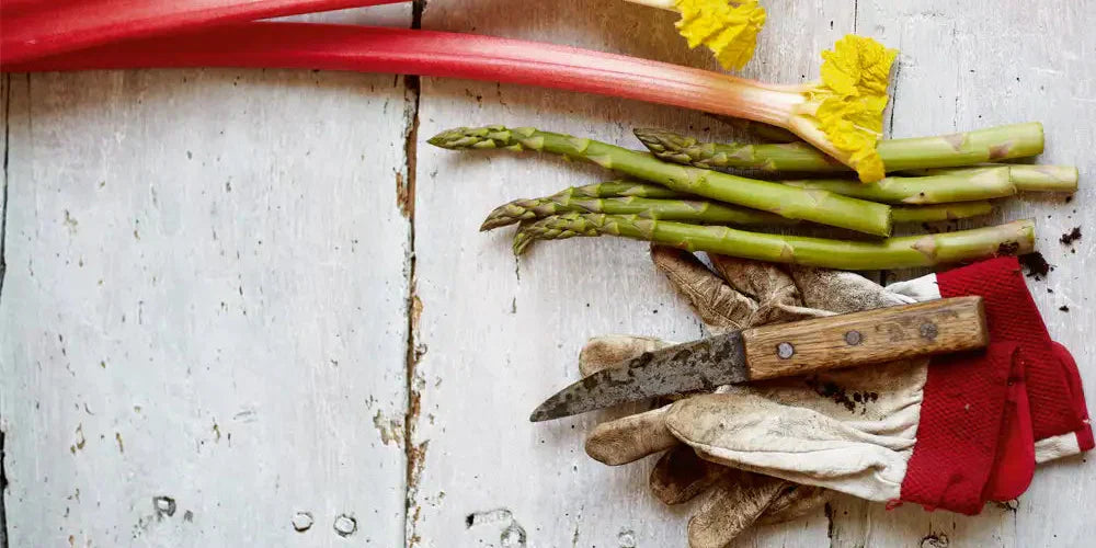 Our Strategy for Reducing Food Waste through Education