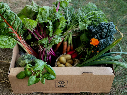 A cardboard box labeled Events Mastering Bold Vegetarian Flavours sits outdoors on grass, filled with fresh vegetables—leafy greens, carrots, potatoes, basil, leeks—and a small orange flower for a Turkish-inspired plant-based feast.