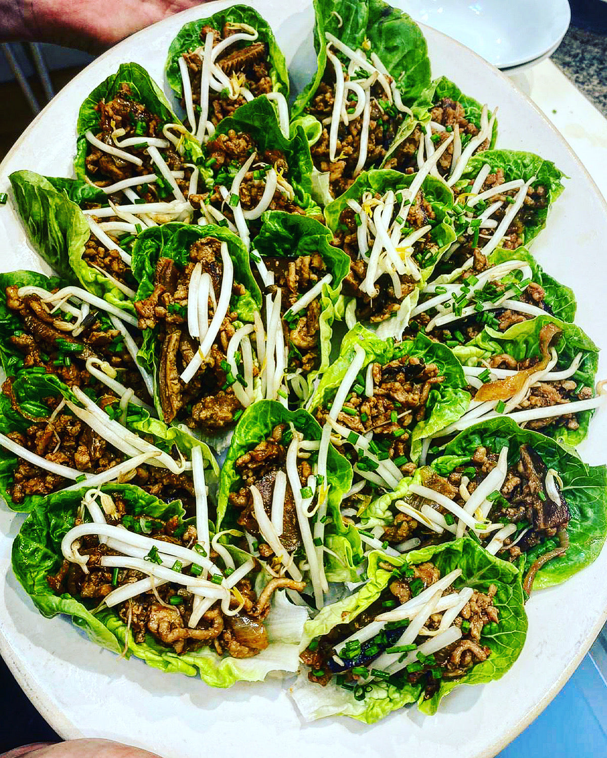 Wonton and Chinese Dim Sum