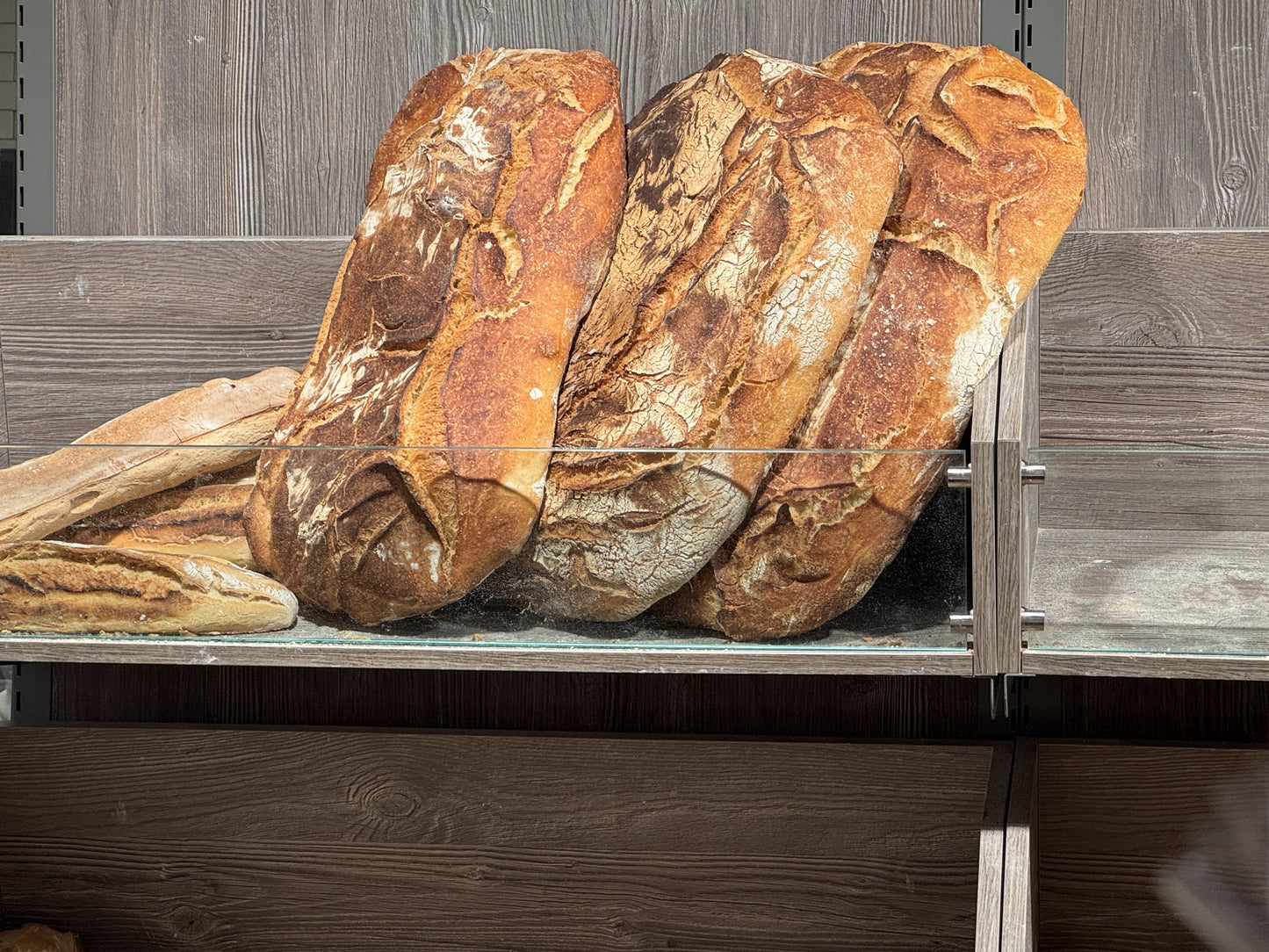 Breads of the World