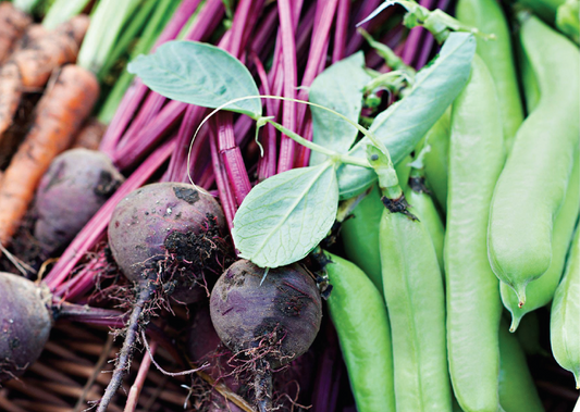 The Confidence in the Kitchen Event features freshly harvested root vegetables—purple beets with stems, green snap peas, and orange carrots—in a basket, perfect for easy student recipes or university cooking classes.