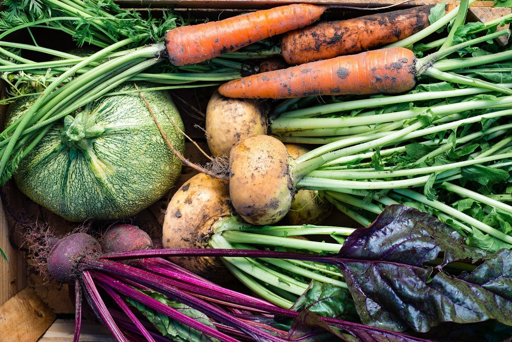Lunch Made Simple: A Parents Guide to Rising Healthy Eaters - Nutritional Cooking Demo with Practical Skills